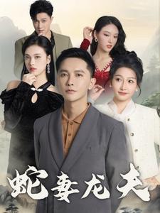 在线中文无码DVD