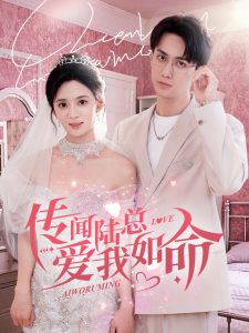 精品动漫蜡笔小新在线观看