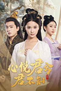 烤串午夜视频大全