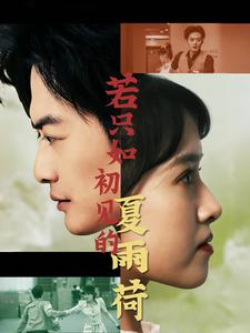 挑战版精品集合在线观看