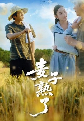 中文字幕日韩医院痴汉