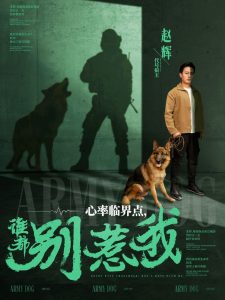 电影天堂双娇夫妇在线观看