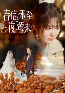 爱在启程的午夜在线观看