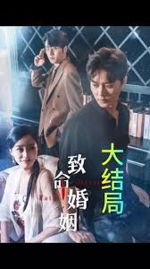 在线能看的免费毛片视频