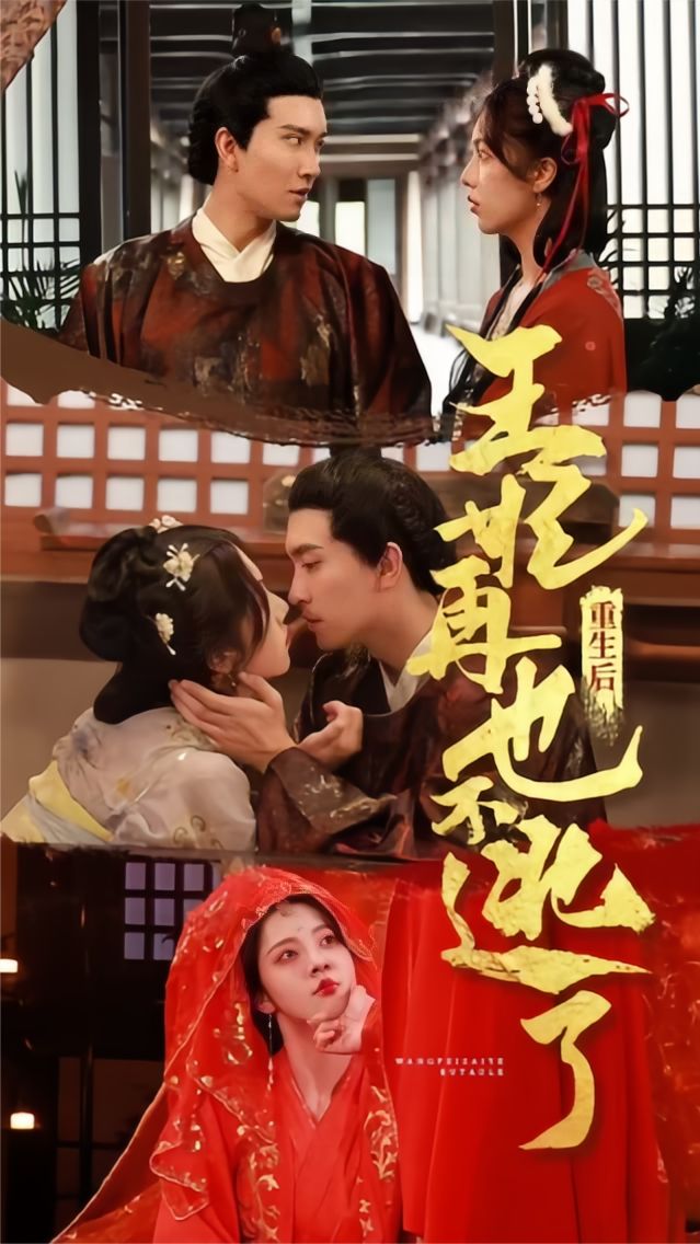 久久精品国产成人