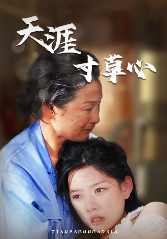 欧美顶爆性视频在线观看