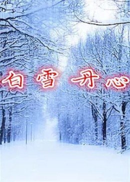 欧美小姐姐全集视频在线