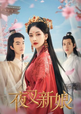 午夜色情免下载视频