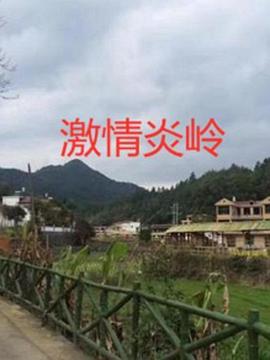 老去的欧美女神视频在线播放