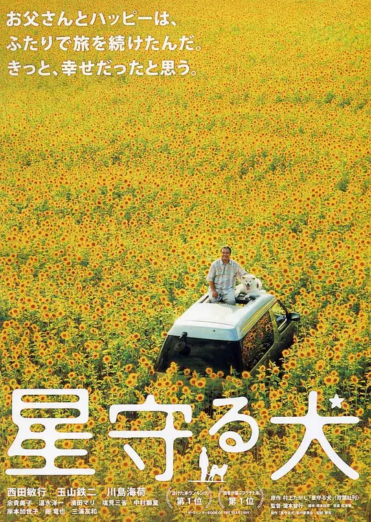 日韩是盟国吗