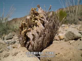 手机午av夜电影
