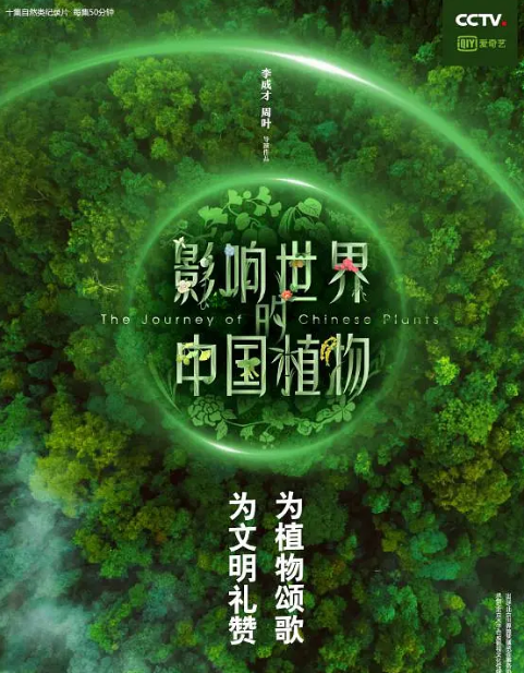 白宇天堂录音在线观看