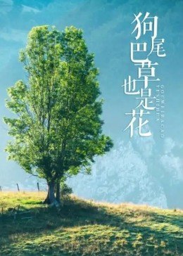日韩亚欧无码护士视频