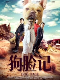 广东卫视午夜影视