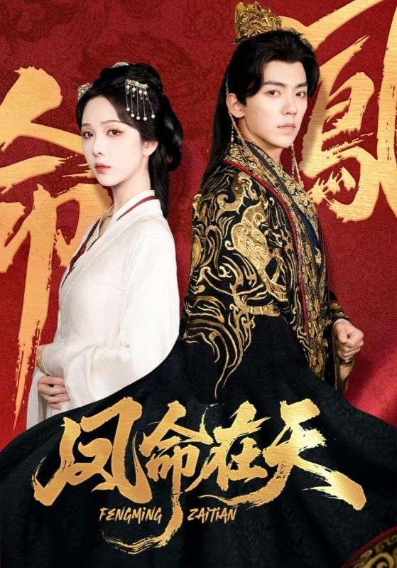 ysn404无码