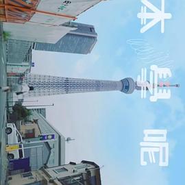 秋霞日韩欧美一级视频