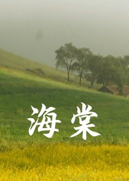 国产少妇亚洲在线视频