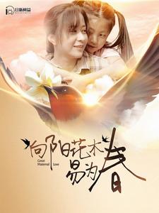 欧美聚合在线看