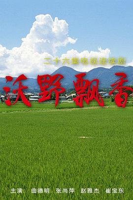 2017无码总结
