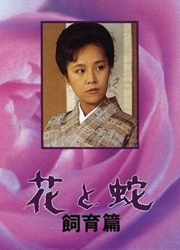 亚洲国产美女委在线观看