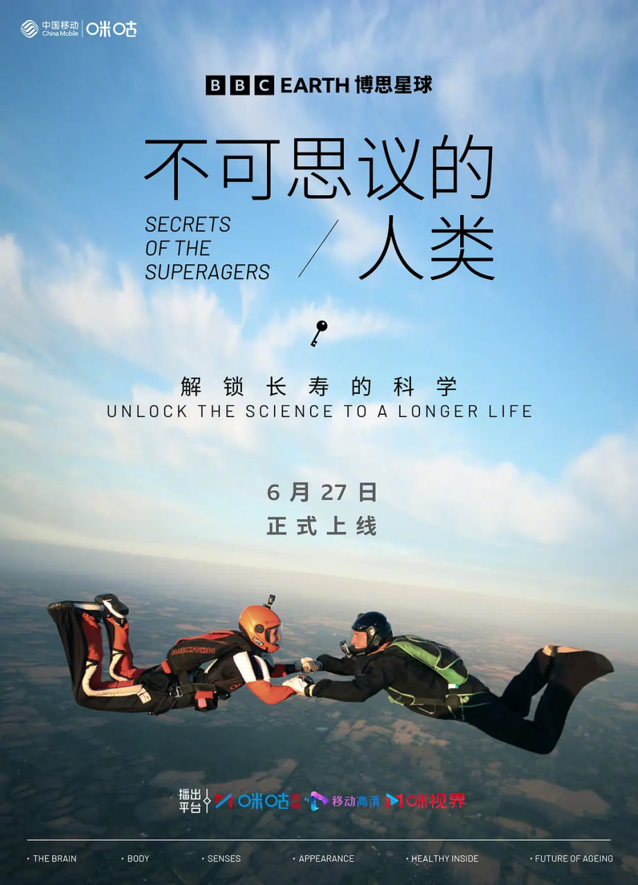 欧美平胸A级在线视频
