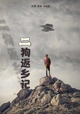 国产日韩在线视频二区
