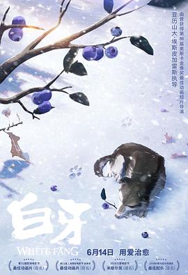 日韩仁藤香在线播放